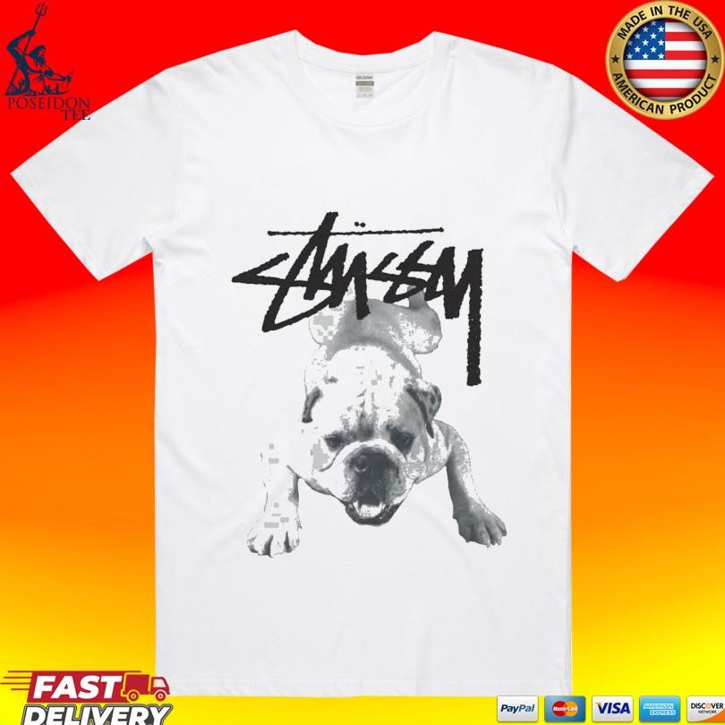 STUSSY★ STOCK DOG TEE Stock Dog Tee – Olive | Tees | Stüssy